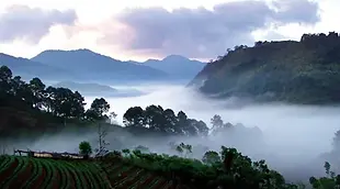 Thailand's Winter Set to Commence Soon