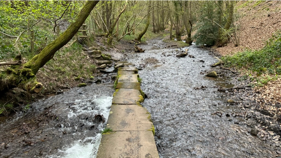 A footpath across a river