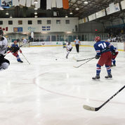 Hockey jocelyn galipeau quebec canada photographe animalier maniwaki nature