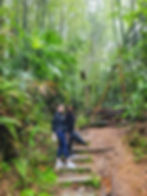 Solo travelers exploring the bamboo groves of Arashiyama in Kyoto