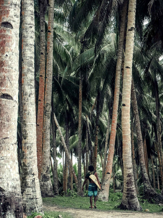 Walking through tall palm trees in the Philippines