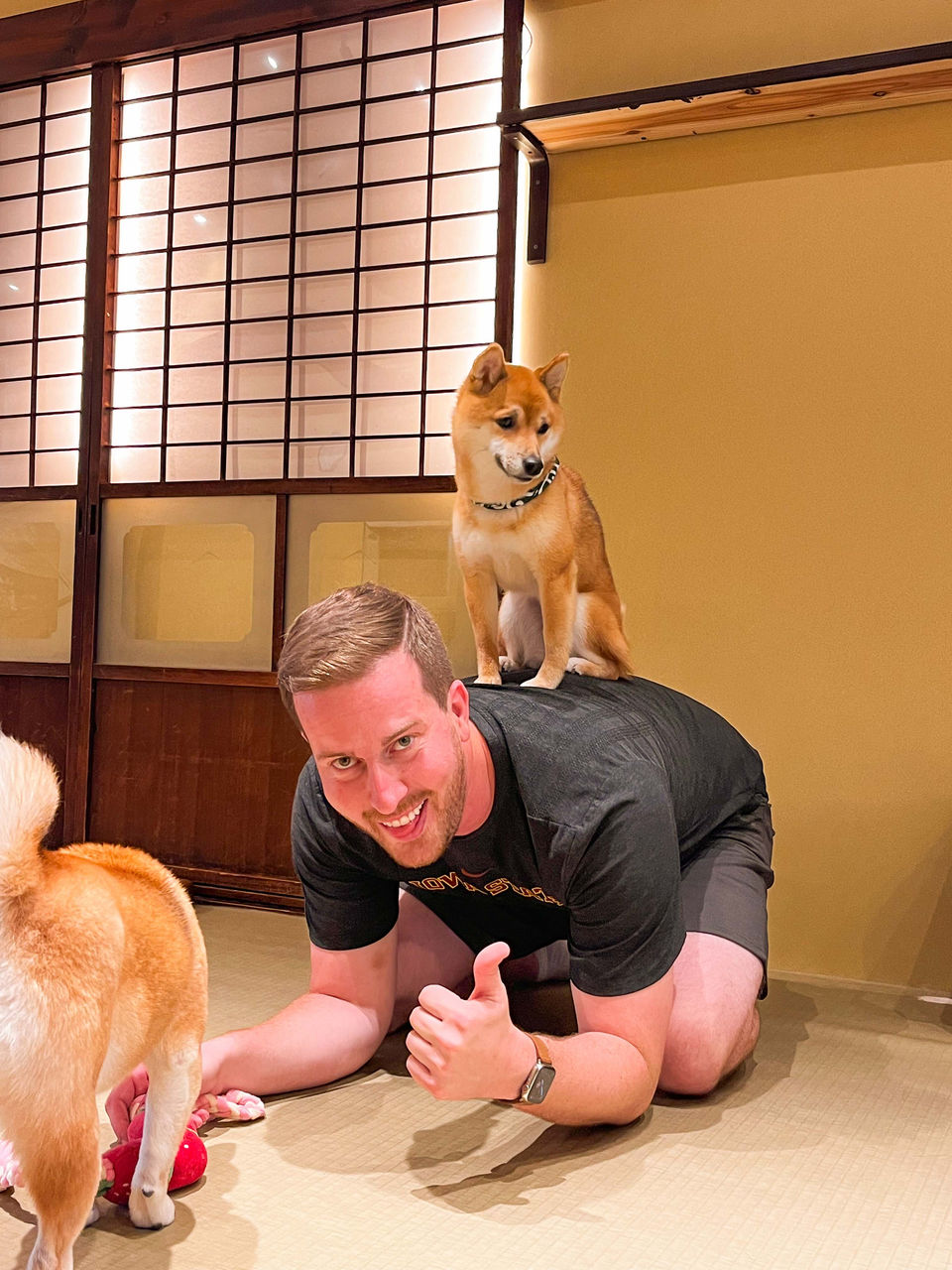 Solo traveler playing with Shiba Inu dogs on an FTLO Japan trip