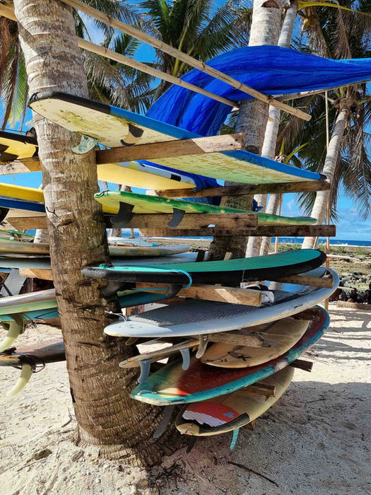 Surfboards stacked under palm trees on a beach in the Philippines