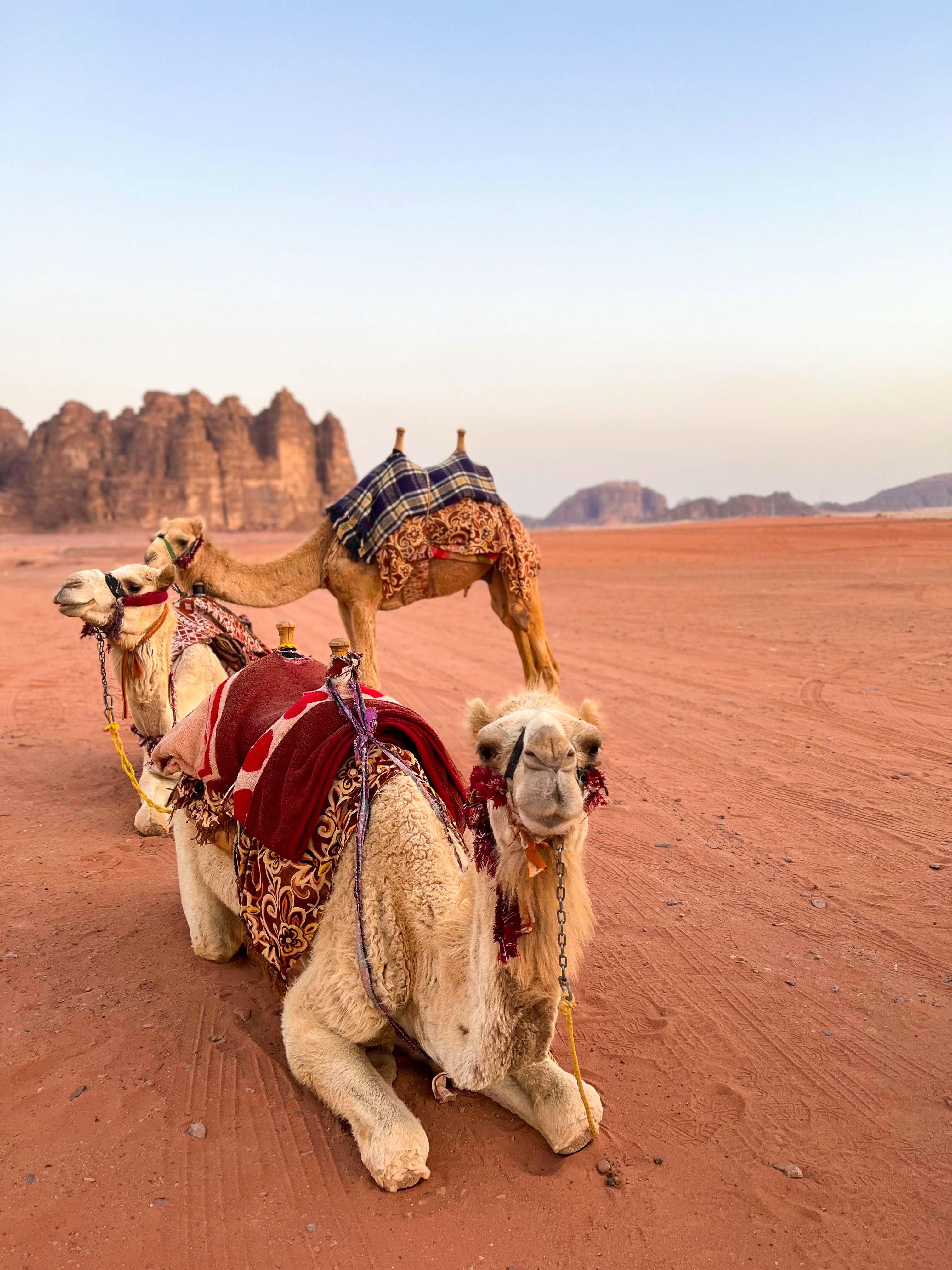 The Jordan Trip | Group Tour for Solo Travelers Ages 25-39