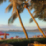 Palm trees framing Tamarindo beach in Costa Rica