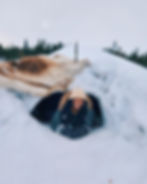 Female solo traveler having fun in the snow in Lapland