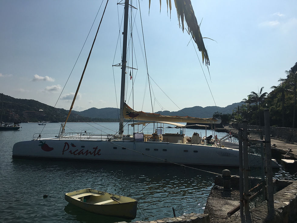 Picante Cruise