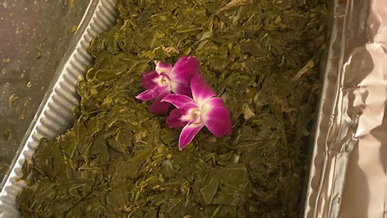 Southern Collard Greens HP
