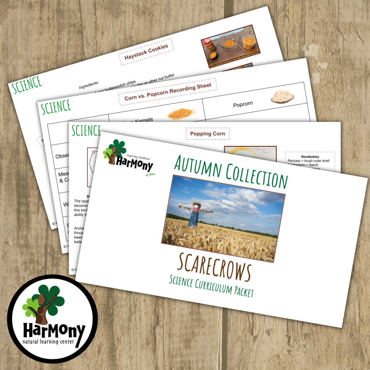 Scarecrows Science Curriculum Packet ~ 7 pages