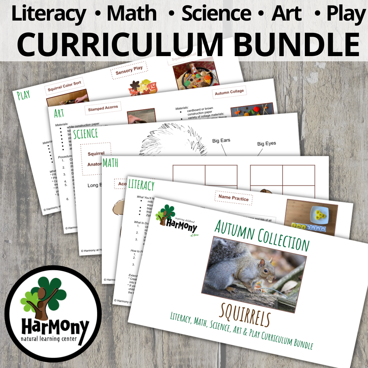 Squirrels Curriculum Bundle ~ 34 pages