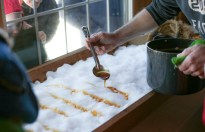 Thumbnail: Spring Collection: Curriculum Volume I ~ 97 pages