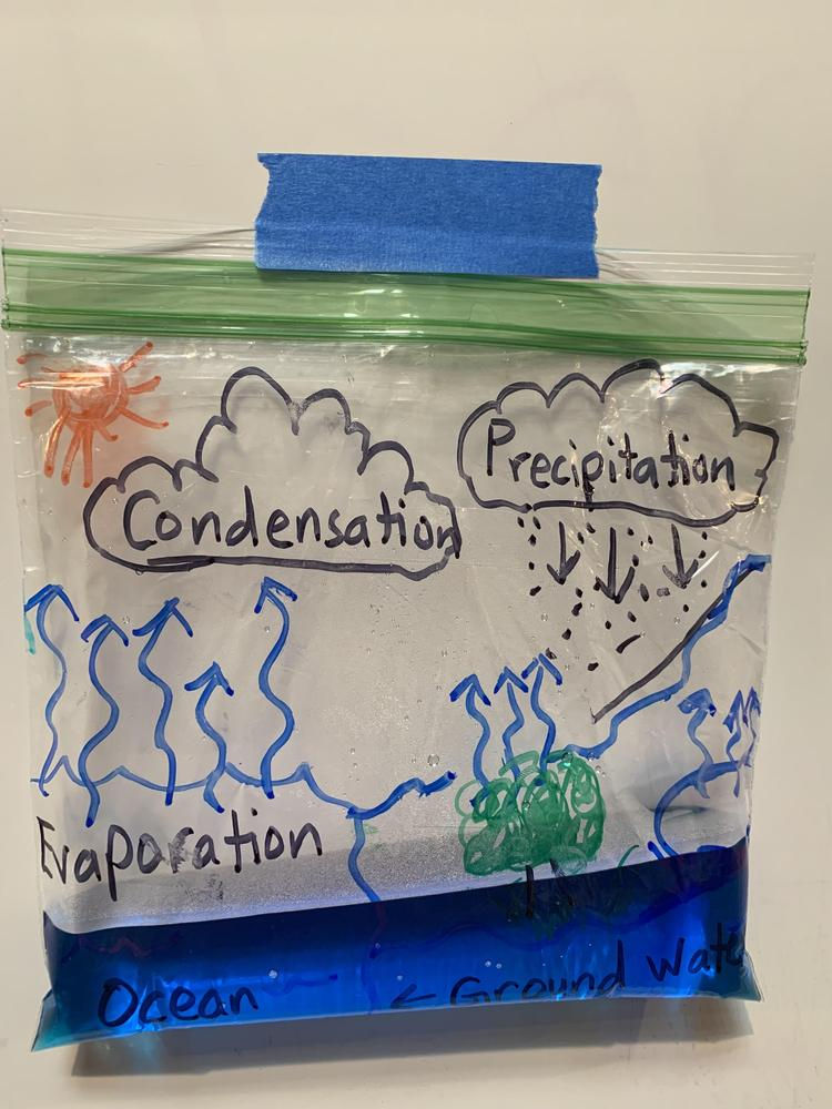 Thumbnail: Spring Collection: Curriculum Volume I ~ 97 pages