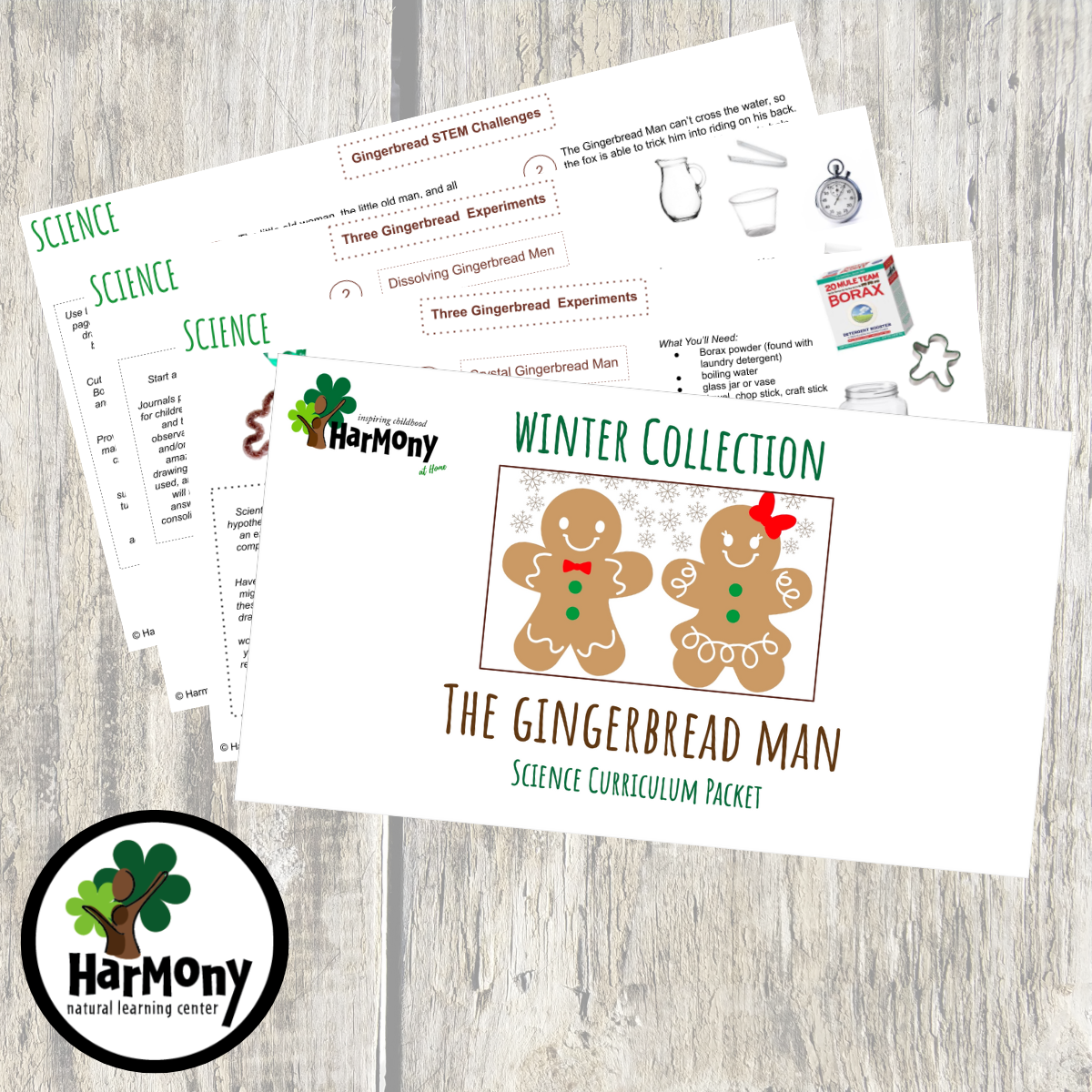 Gingerbread Science Curriculum Packet ~ 9 pages