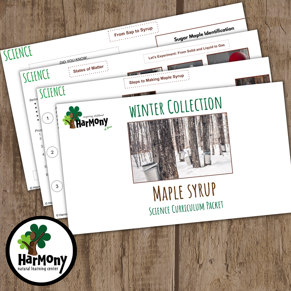 Thumbnail: Maple Syrup Curriculum Bundle ~ 26 pages