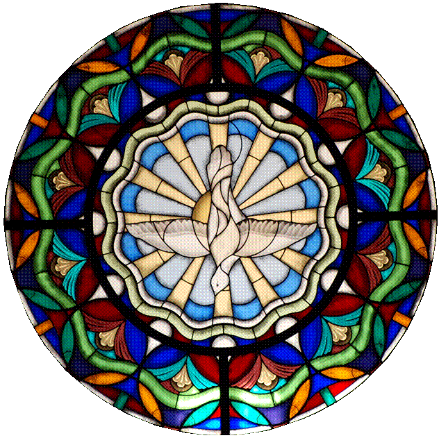 dove window.gif