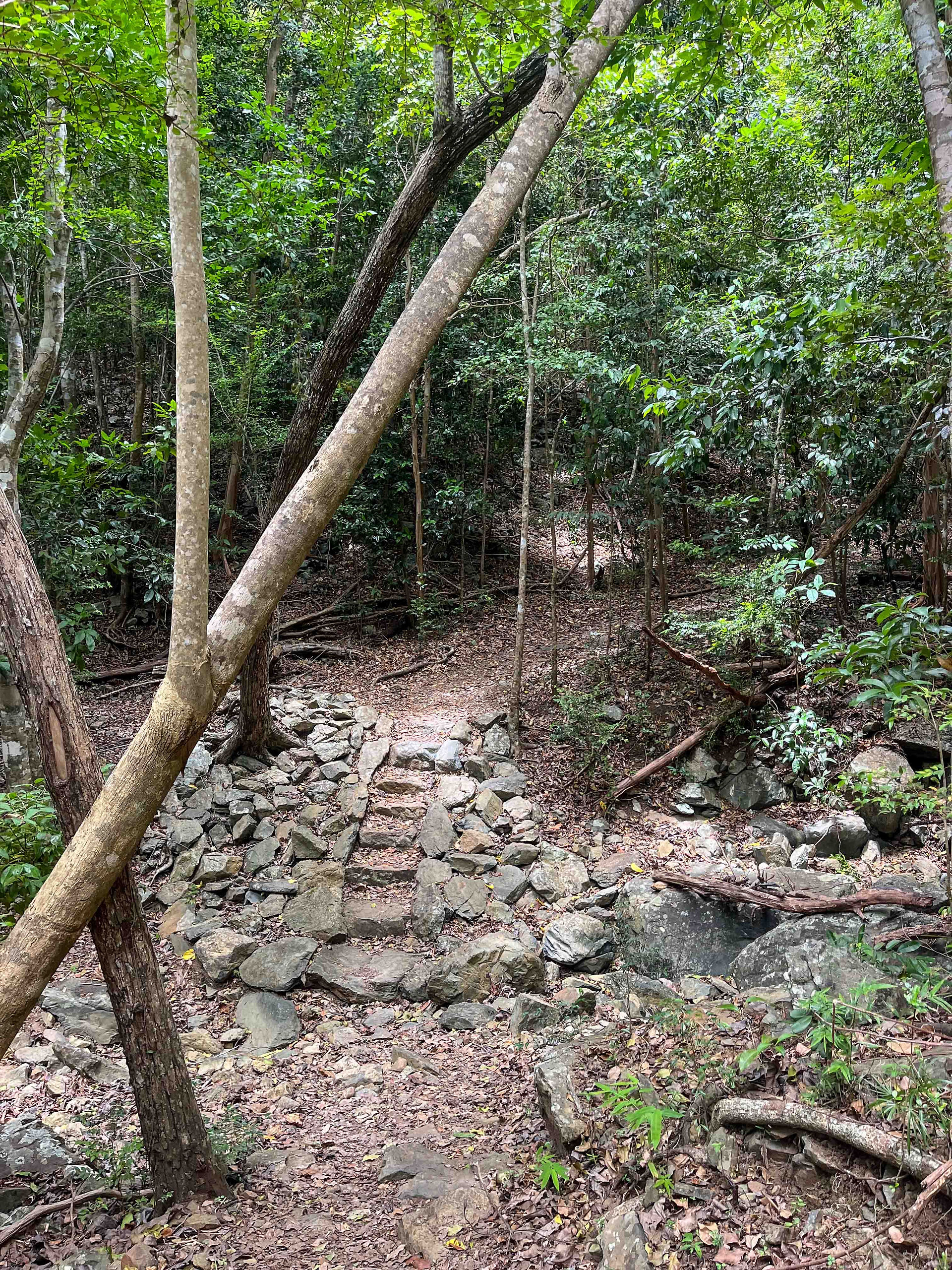 The Cinnamon Bay trail