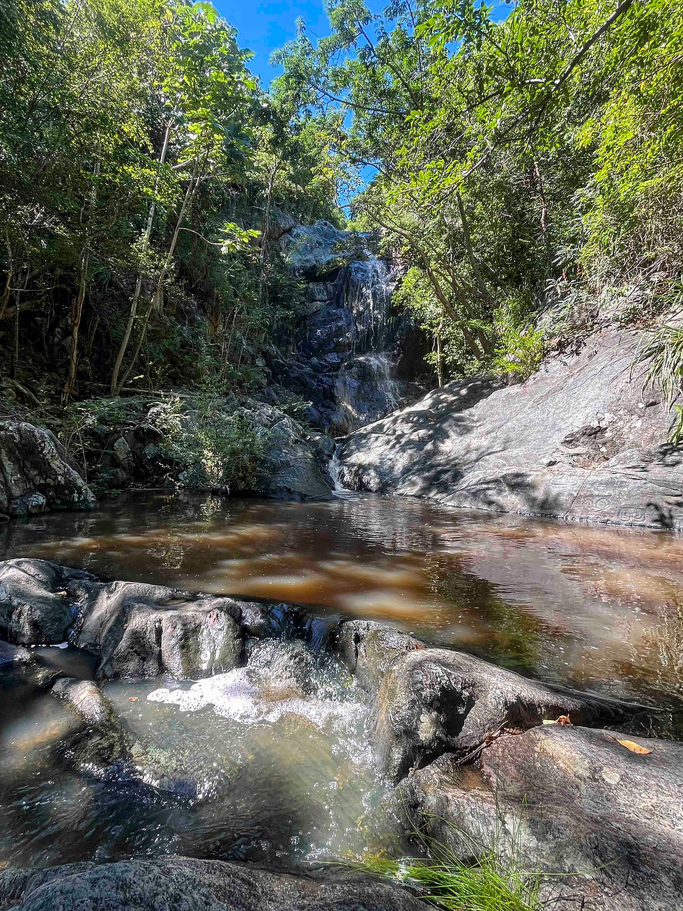 Tropical waterfall and petroglyph carvings along the Reef Bay Trail in the US Virgin Islands