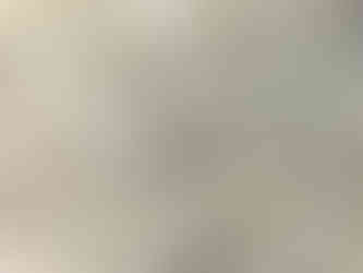 a sand stargazer that has been lifted to the surface of the sand