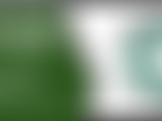 Foxhole Technology's solution video "Cut Cyber Operations Costs and Increase Productivity with BunkerWave Data Management Framework" earned Platform One's "Awardable" seal.