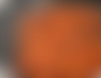 Like-Meat Veggie crumbles V3