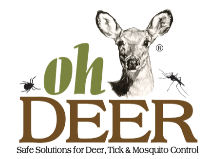Oh Deer