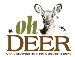 Oh Deer