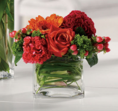 Paul Douglas Floral Designs
