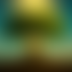 Rooted and Renewed: The Next Chapter of Zholistic Life