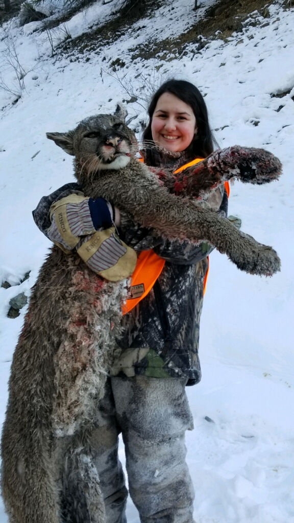 Mtn. Lion