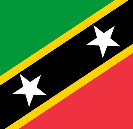 Saint-Kitts-and-Nevis-Flag.webp