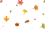 leaves.gif