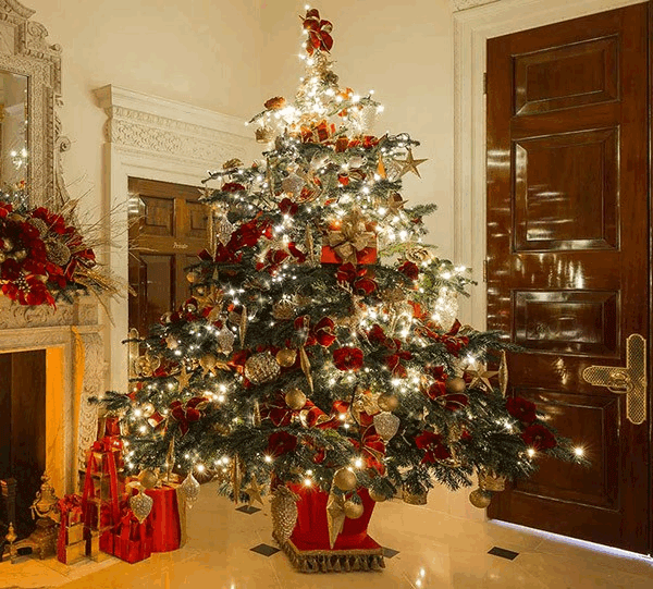 atheritz-christmas-tree-animations-gif.gif