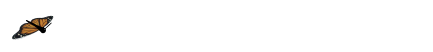 animated-butterfly-image-0030.gif