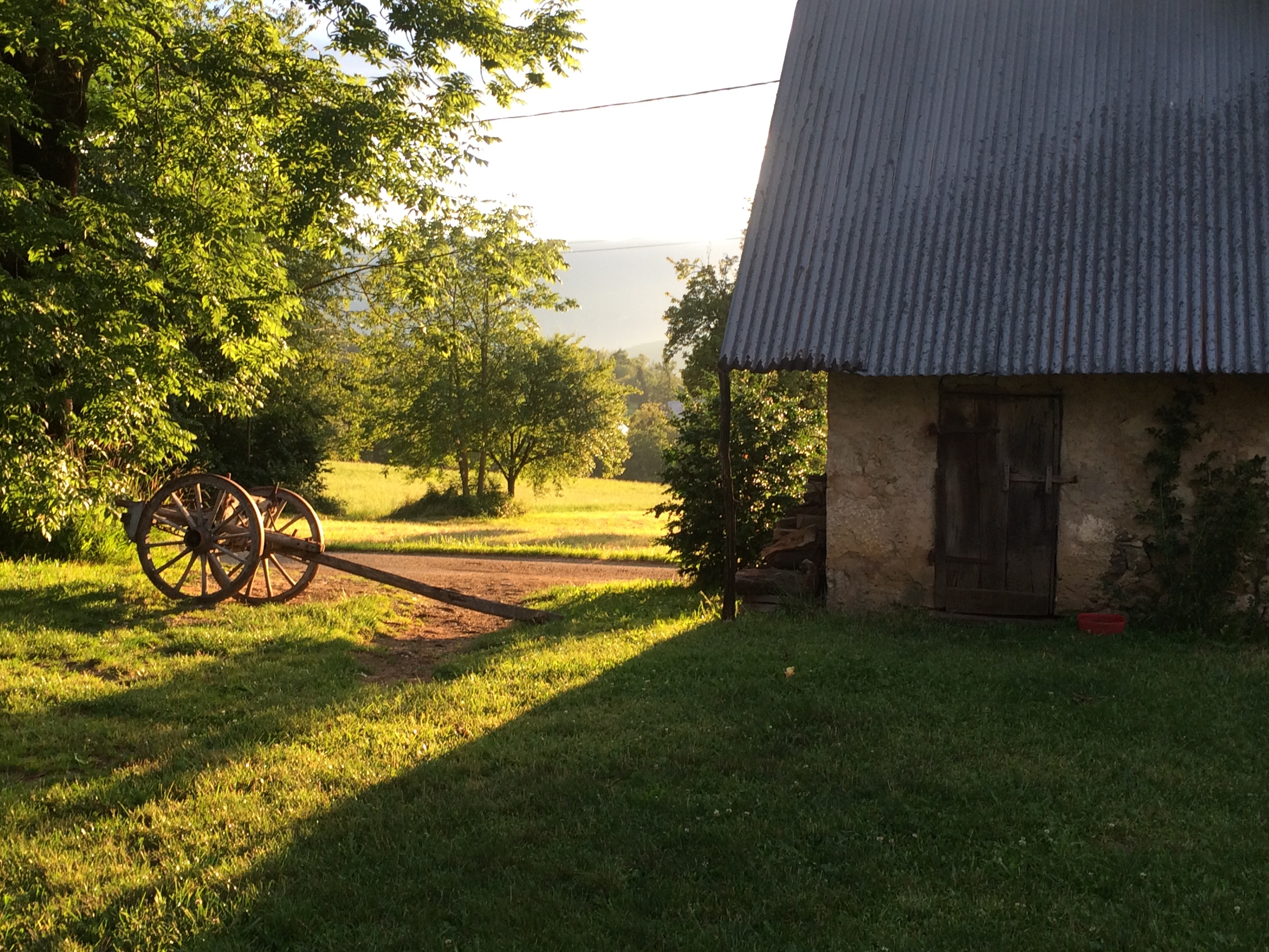 Le jardin