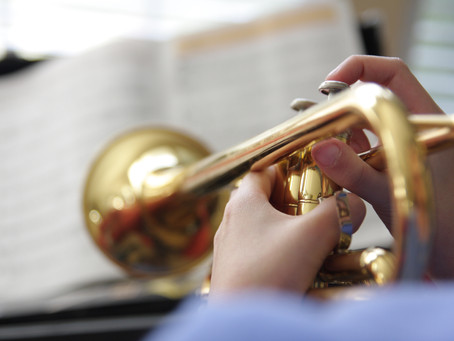 SCBA Band Students Excel!