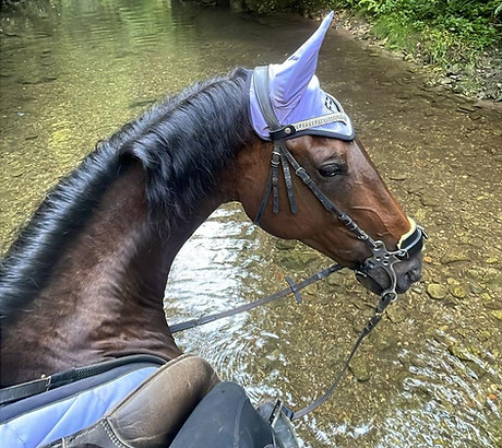 WhatsApp Image 2026-01-17 at 10.08.42.jpeg