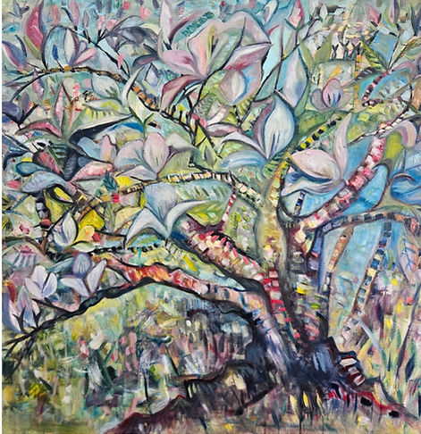 Magnolias Cheshire UK