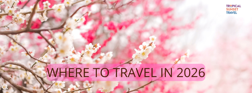 Blooming pink and white flowers with blurred background. Text reads "WHERE TO TRAVEL IN 2026." Logo: "TROPICAL SUNSET TRAVEL."