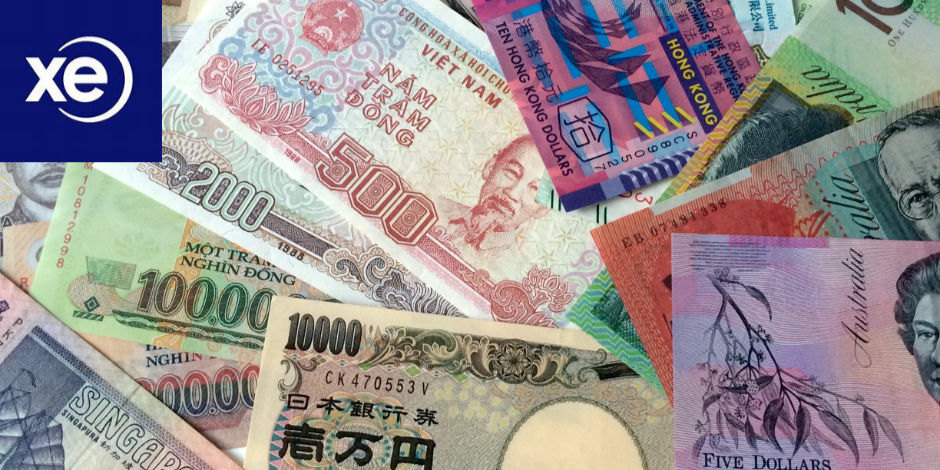 various forms of currency with the xe currency symbol