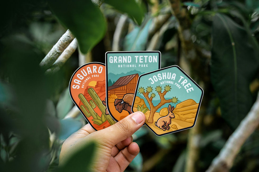 Hand holding three colorful national park stickers for Saguaro, Grand Teton, and Joshua Tree, with green foliage in the background.