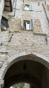 IMG_8145.jpeg