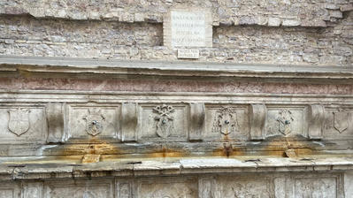 IMG_7953.jpeg