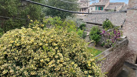 IMG_8136.jpeg