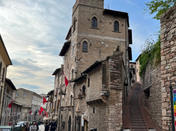 IMG_7964.jpeg