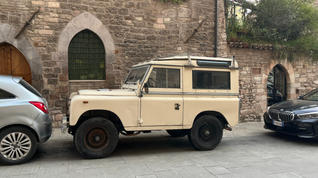 IMG_7959.jpeg