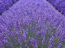 Kilka słów wstępu…