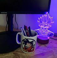 IMG_5682.jpeg