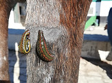 img_20211008_134944.jpg