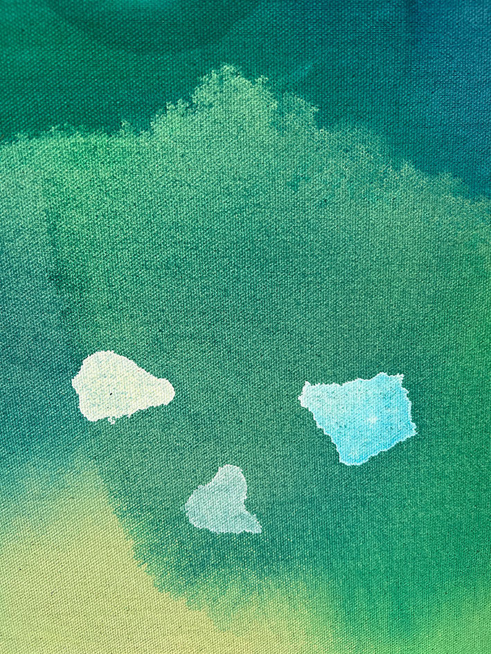 Miniaturbild: Nachtlicher (100 x 80)