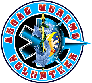 VOLUNTEER LOGO_edited.png